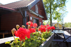 cafe outside & flowers
